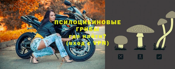 спайс Сосновка